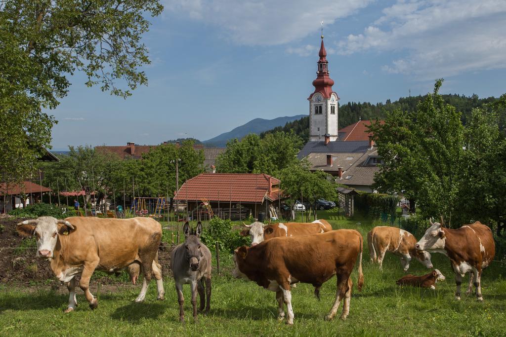 Bio Turisticna Kmetija Frcej-Zupan Villa Bled Exterior photo